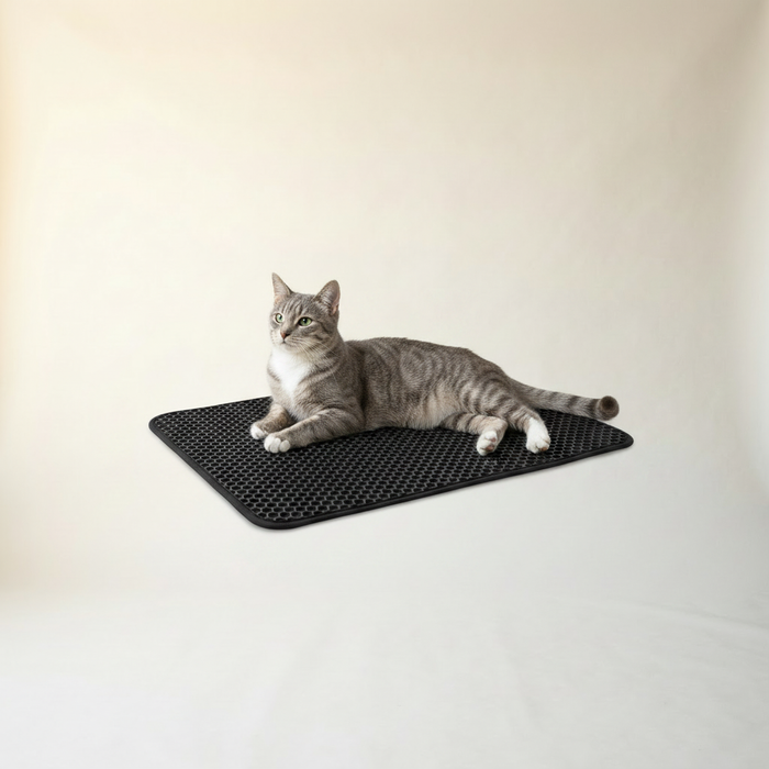 Litter Catcher Mat