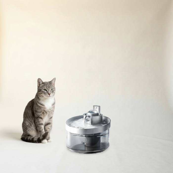 Cat Water Fountain
