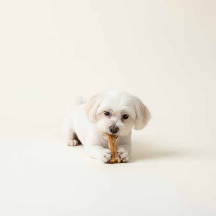 Durable Chew Stick