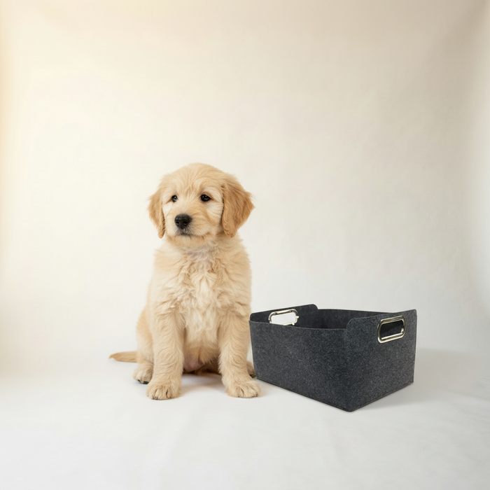 Toy Storage Basket