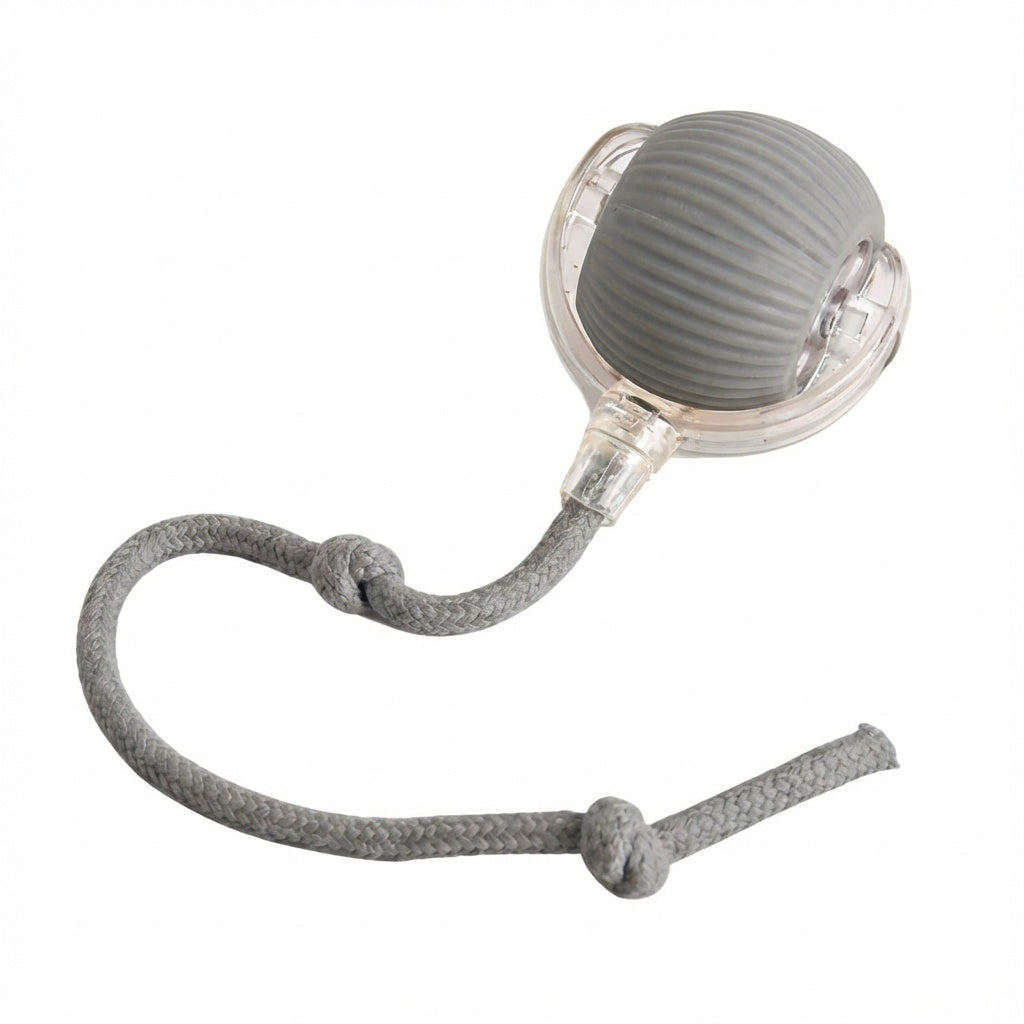 Pawvera ChaseMate™ Interactive Ball