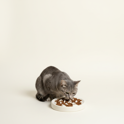 Cat Slow Feeder Bowl