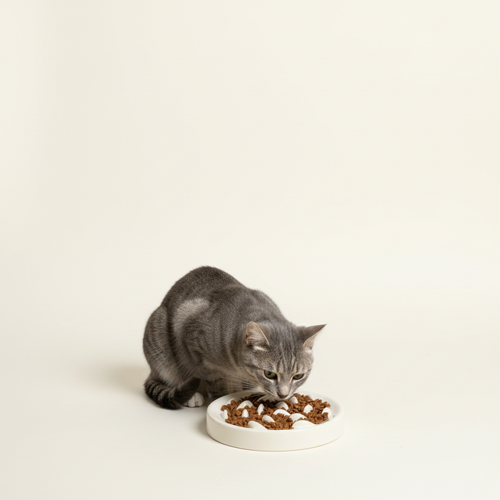 Cat Slow Feeder Bowl