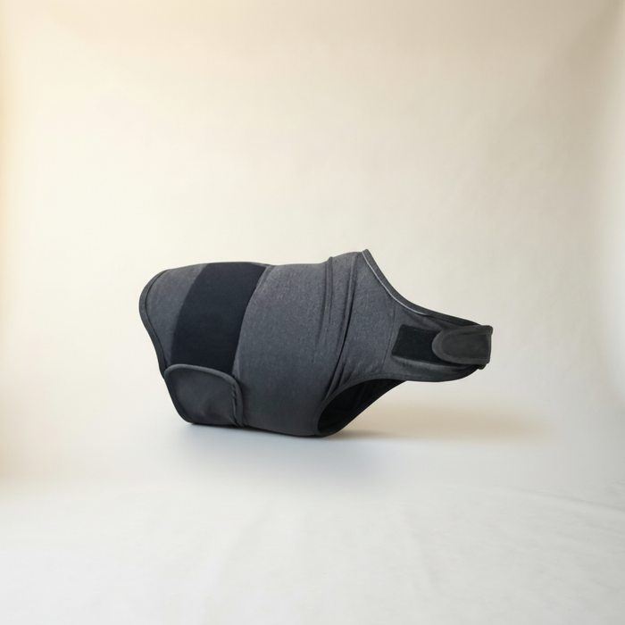Anxiety Vest