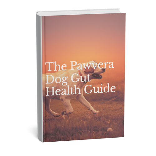 Dog Gut Health Guide