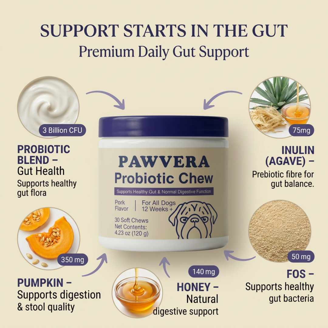 Ingredients inside Pawvera probiotic chews for dogs supporting gut health and digestion