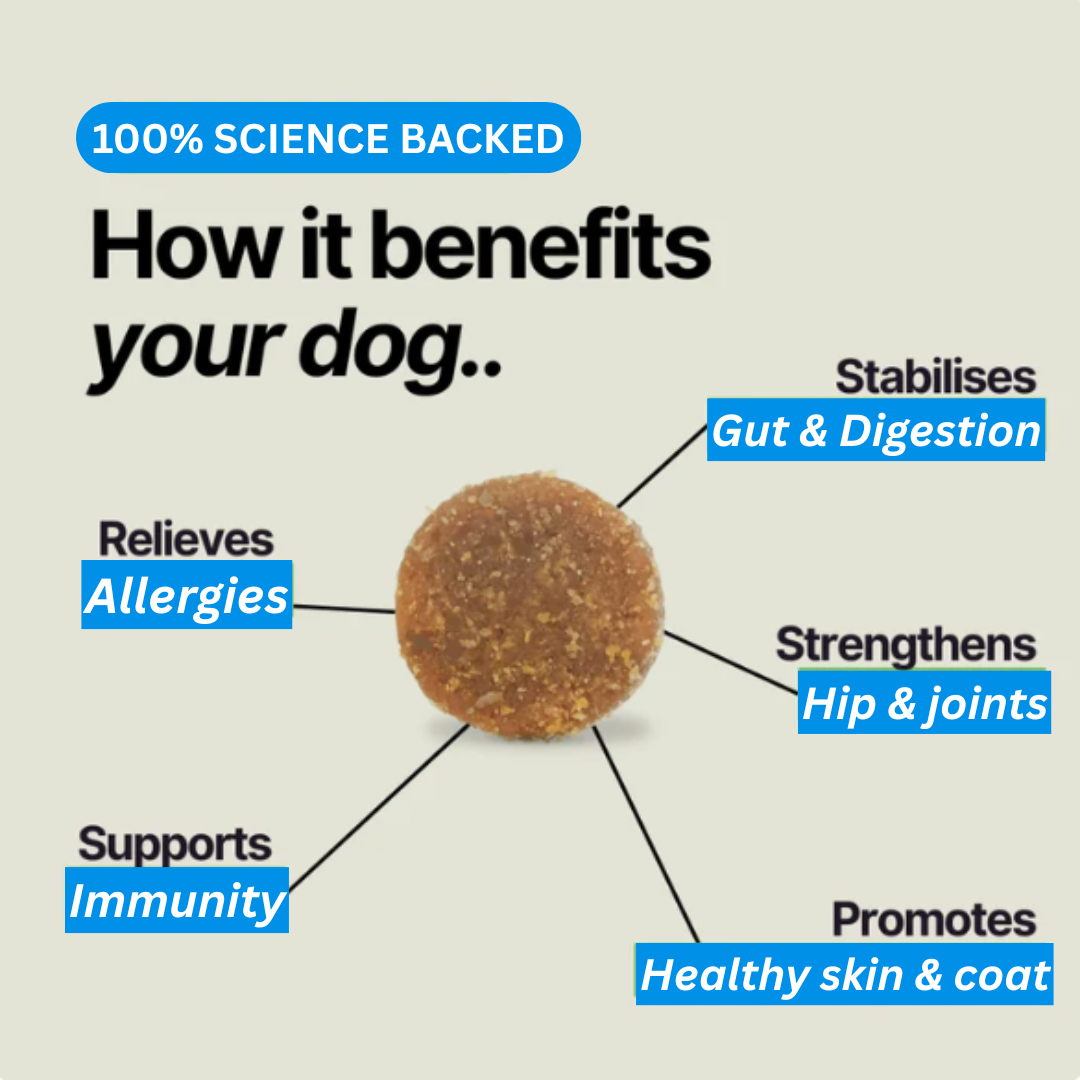 Pawvera™ Probiotic Chew