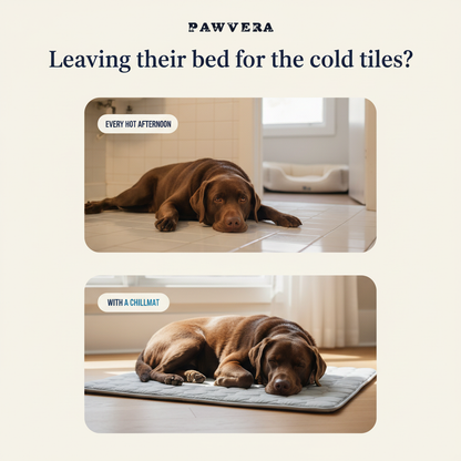 Pawvera ChillMat™