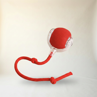Interactive Ball