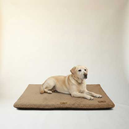 Orthopedic Memory Foam Bed