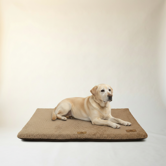 Orthopedic Memory Foam Bed