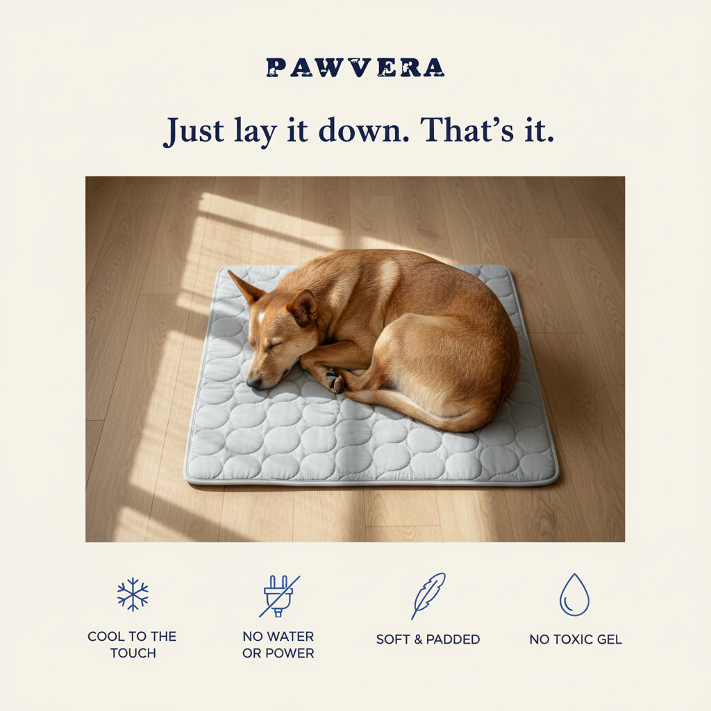 Pawvera ChillMat™