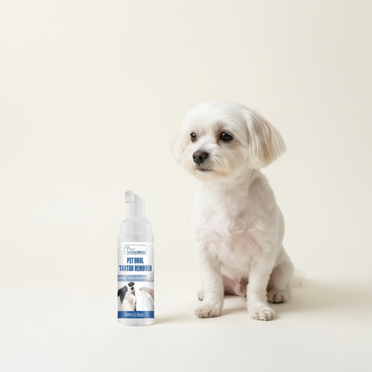 Dental Spray