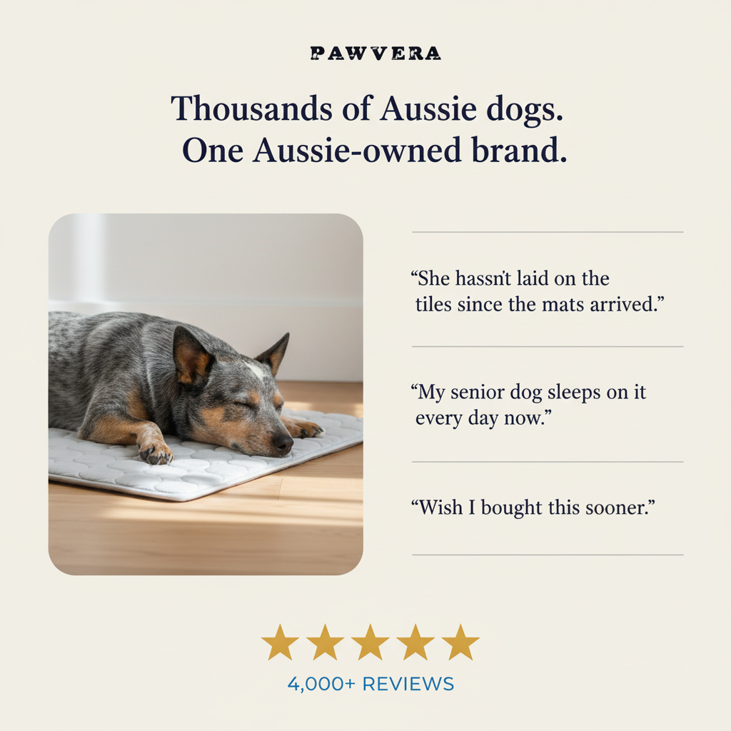 Pawvera ChillMat™