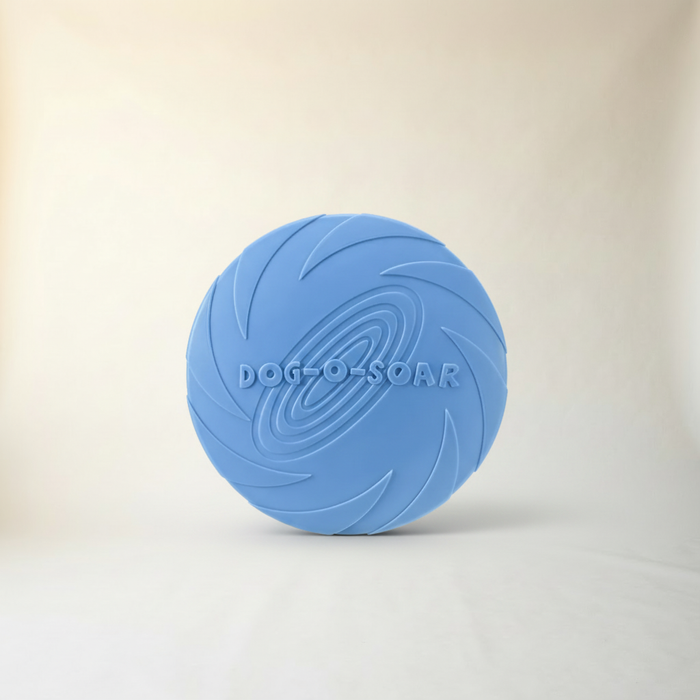 Soft Rubber Frisbee