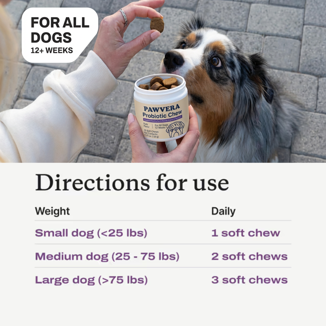 Pawvera™ Probiotic Chew