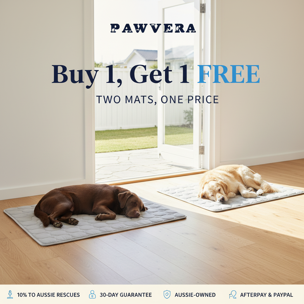 Pawvera ChillMat™