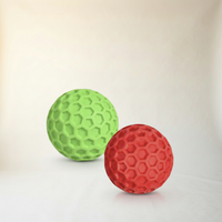 Squeaky Balls (2 Pack)