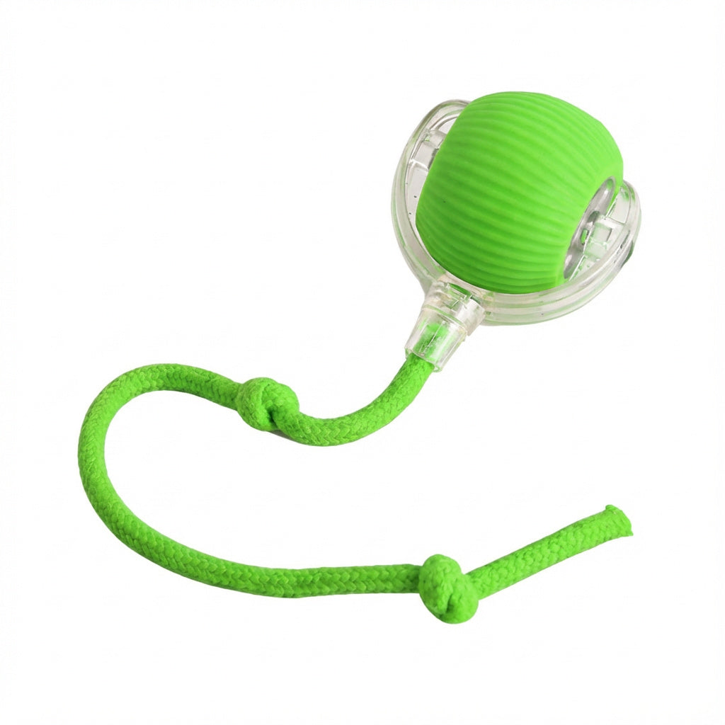 Pawvera ChaseMate™ Interactive Ball