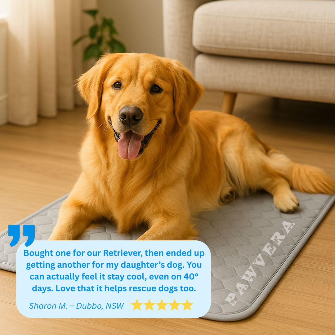 Pawvera ChillMat™