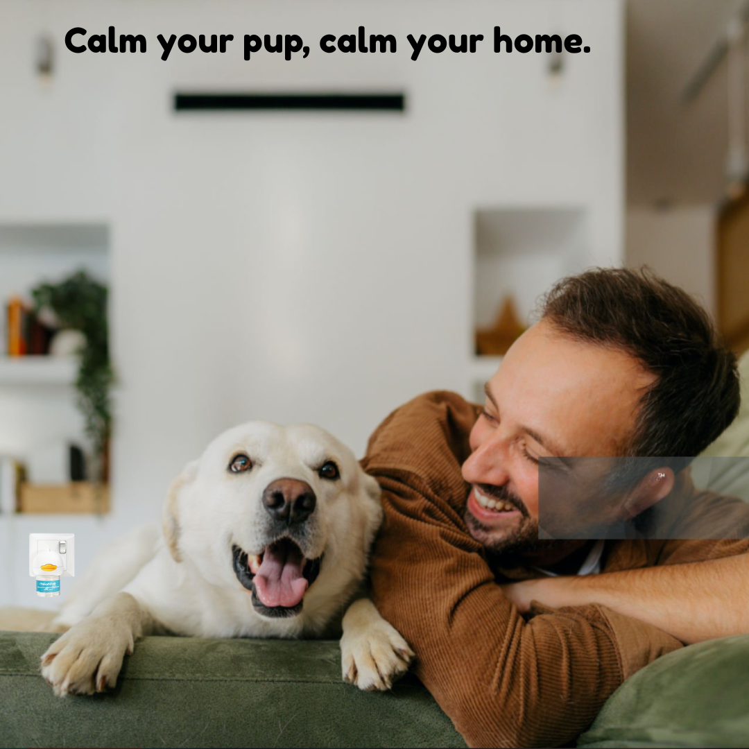 Advanced Dog Calming Diffuser