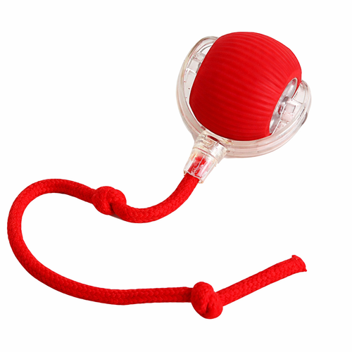 Pawvera ChaseMate™ Interactive Ball