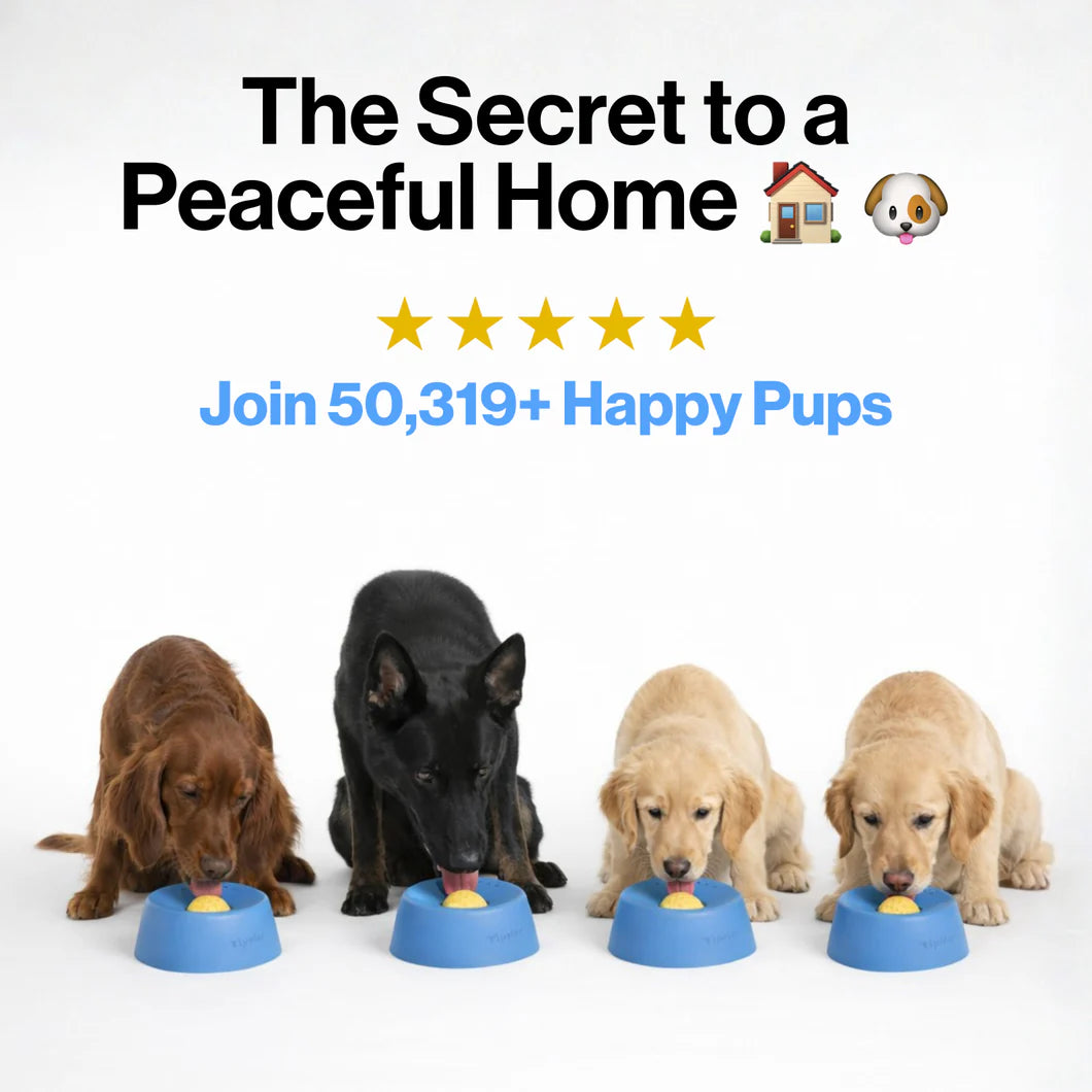 Pawvera™ CalmCore Bowl