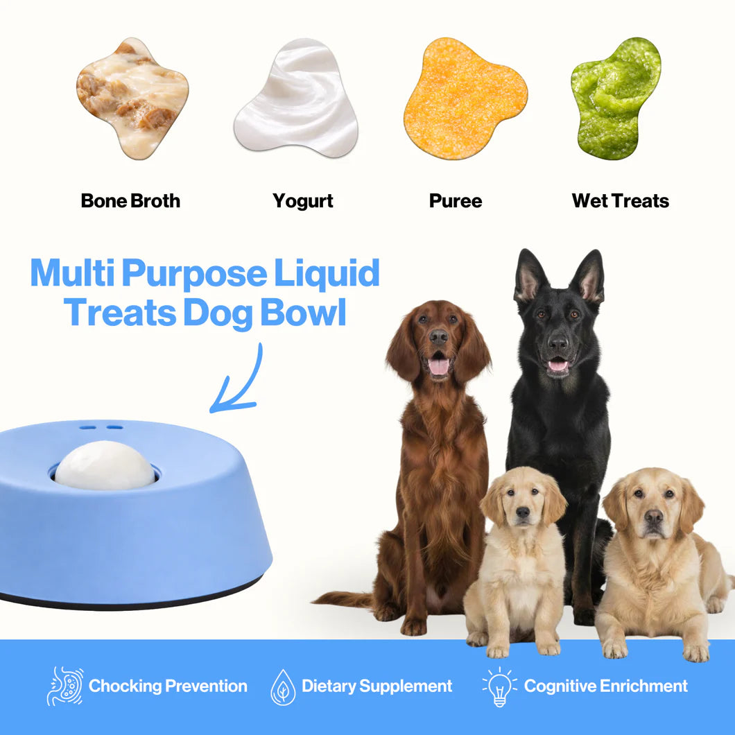 Pawvera™ CalmCore Bowl