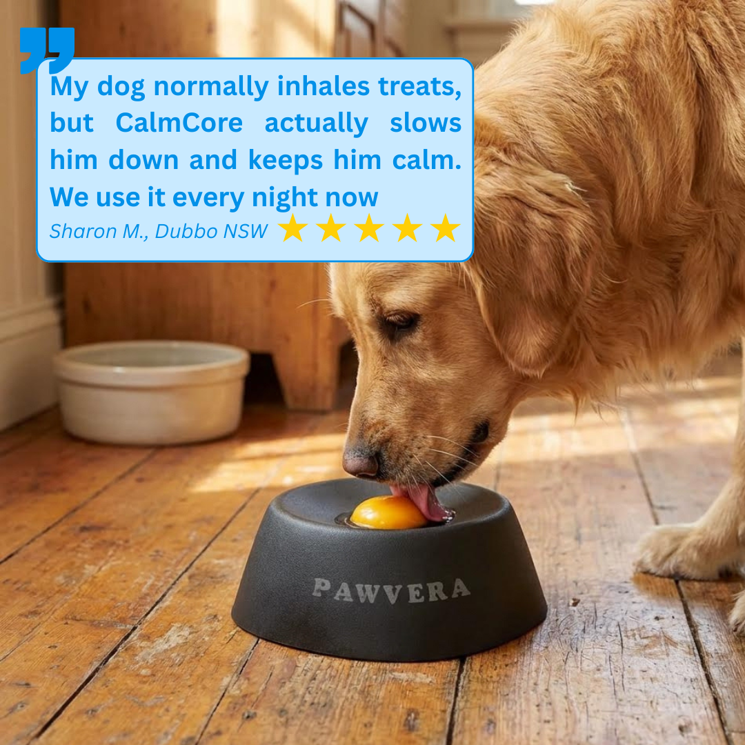 Pawvera™ CalmCore Bowl