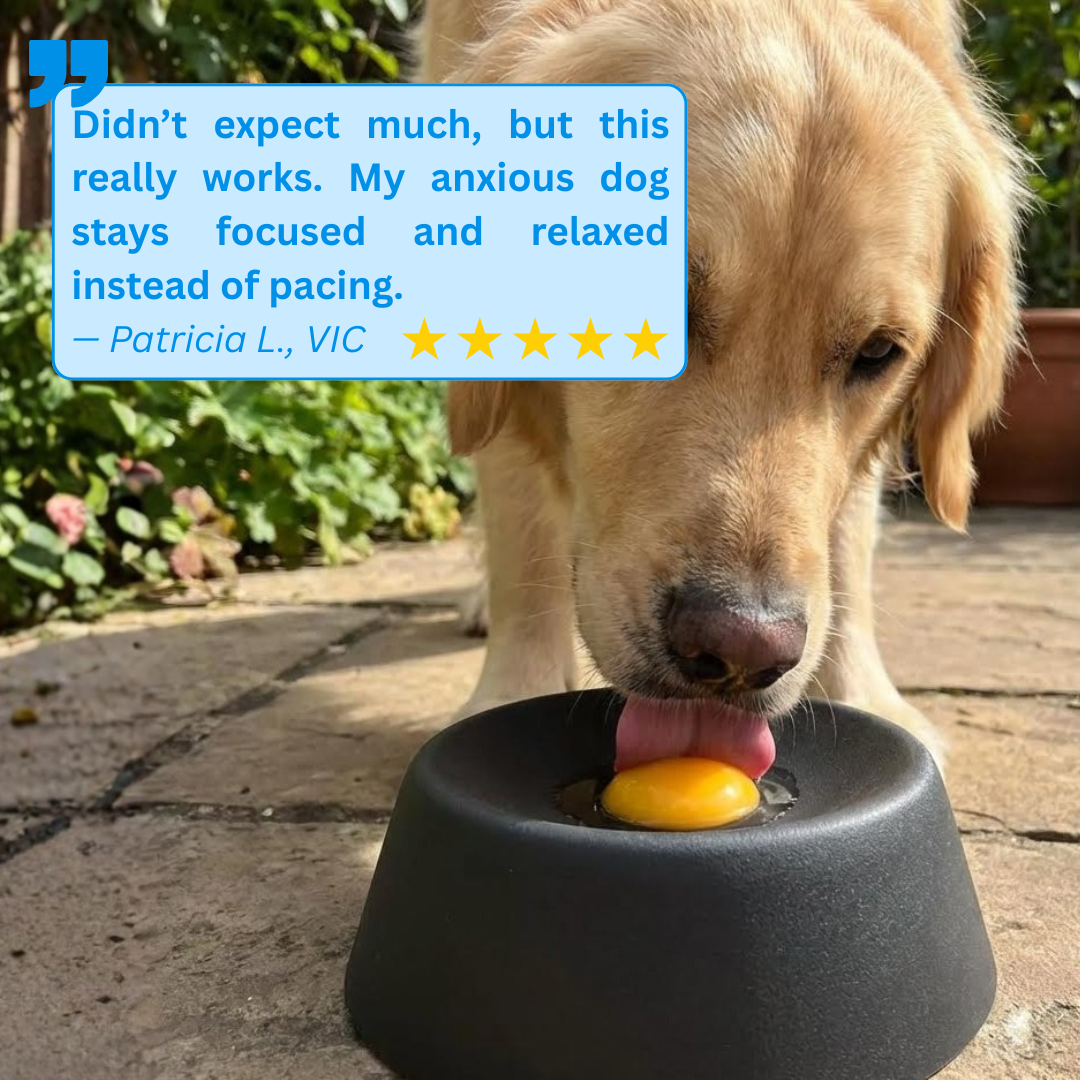 Pawvera™ CalmCore Bowl