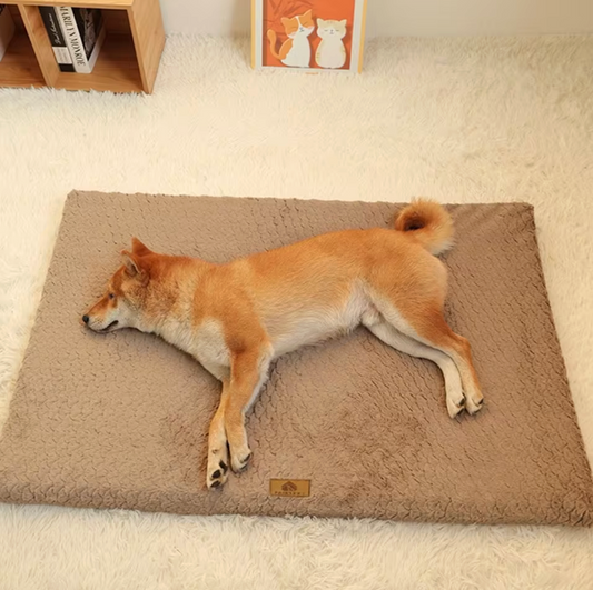 Pawvera™ Orthopedic Comfort Bed