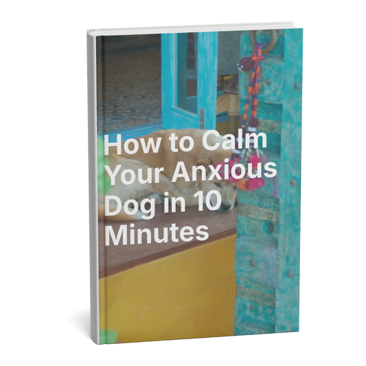How to Calm Your Anxious Dog in 10 Minutes - Digital Ebook