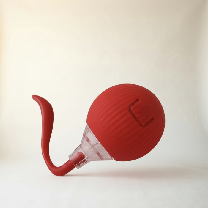 Interactive Cat Toy
