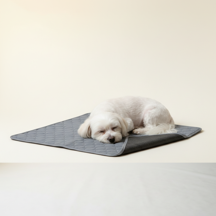 Washable Pee Pads