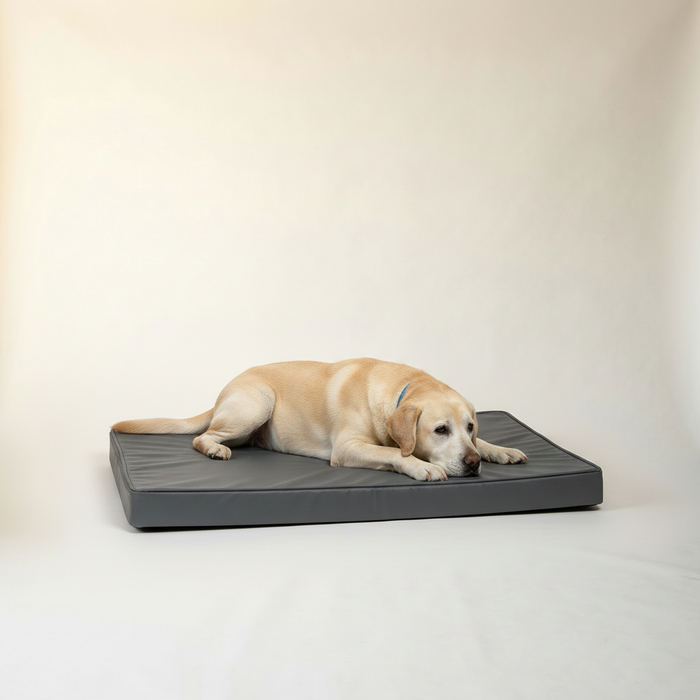 Outdoor Waterproof Bed