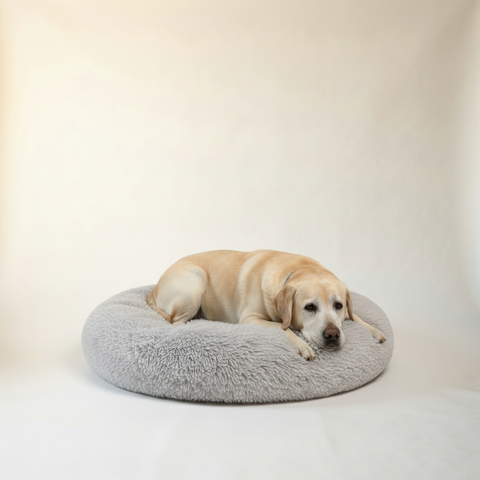 Calming Donut Bed