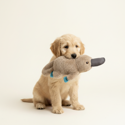 Aussie Animal Squeaky Plush