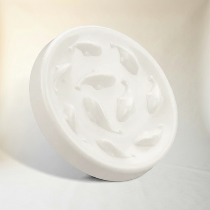 Cat Slow Feeder Bowl